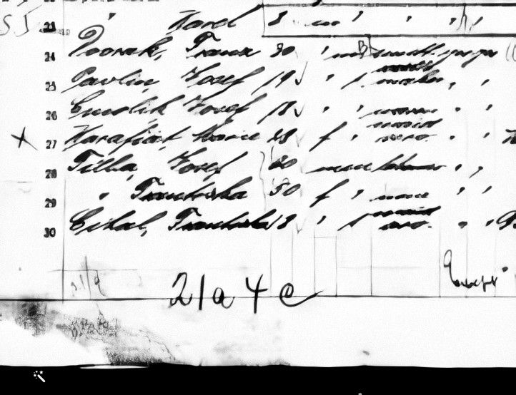 Ship manifest listing the Filas