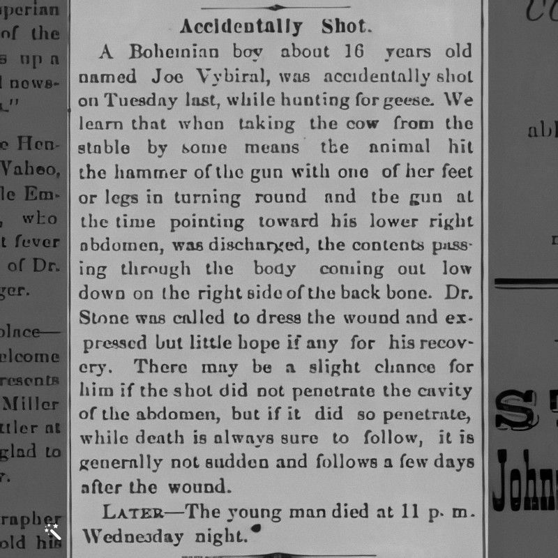 Wahoo Independent newspaper, March 22, 1883