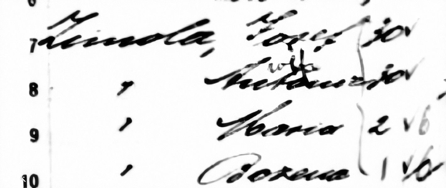 Zimola Immigration Ship Manifest